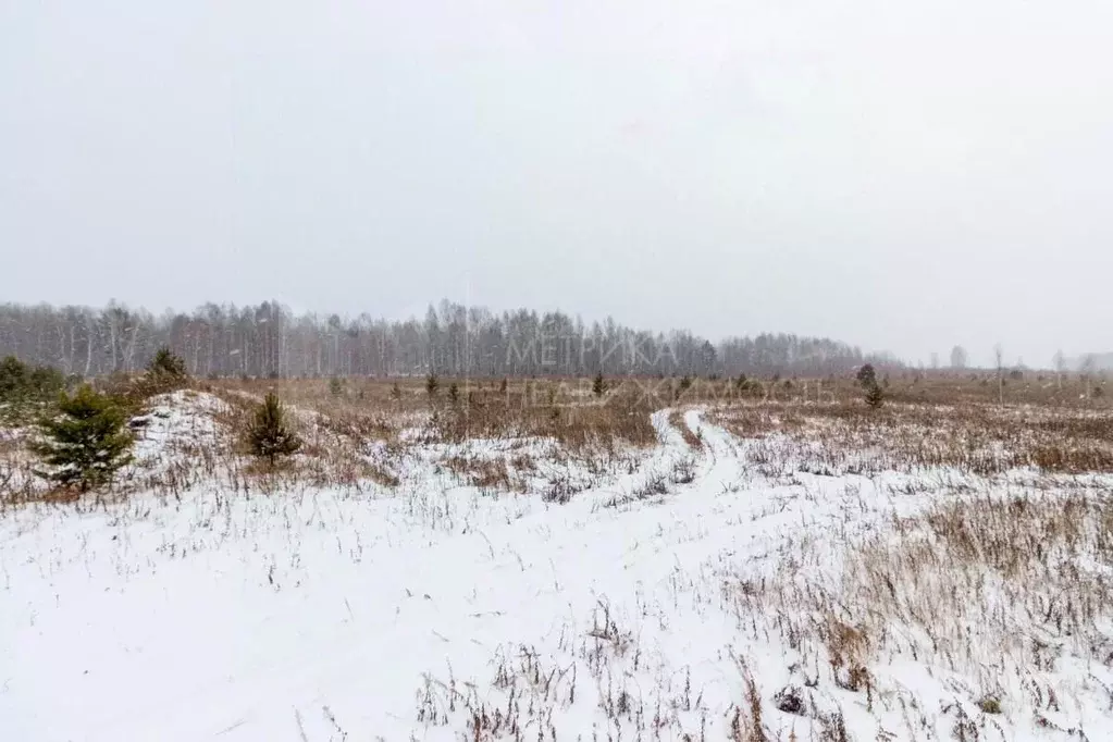 Участок в Тюменская область, Тюменский район, с. Кулига  (12.5 сот.) - Фото 0