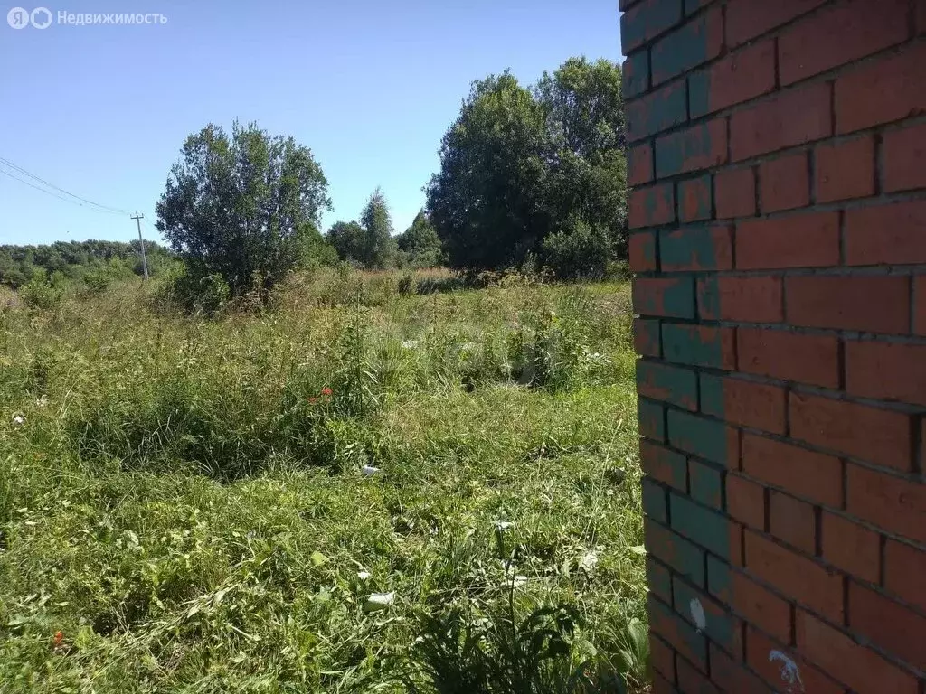 Участок в Ярославский муниципальный округ, садоводческое ... - Фото 0