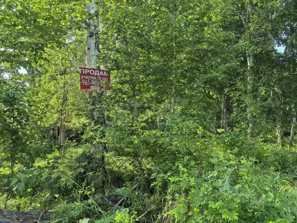 Участок в Камчатский край, Елизовский муниципальный округ, пос. ... - Фото 2