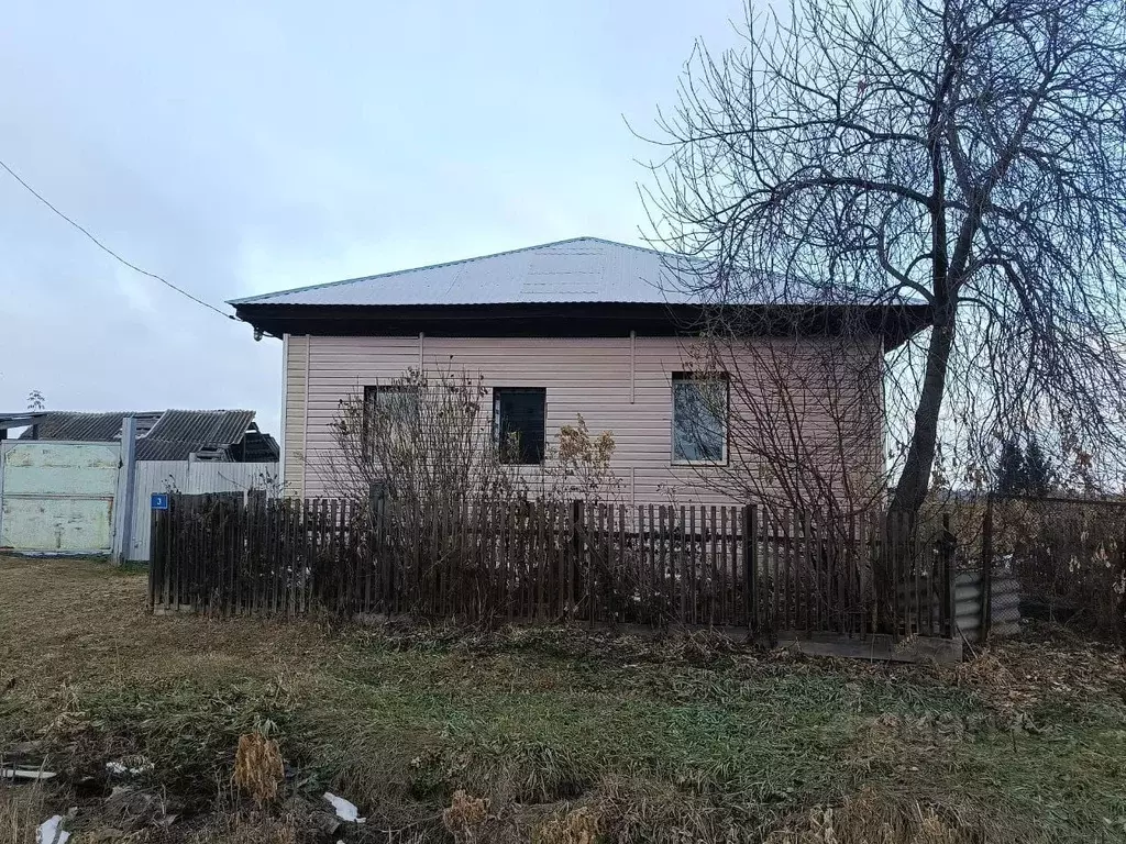 Дом в Новосибирская область, Колыванский район, д. Амба Молодежная ... - Фото 2