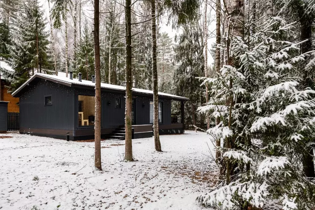 Дом в Московская область, Пушкинский городской округ, д. Могильцы, ... - Фото 1