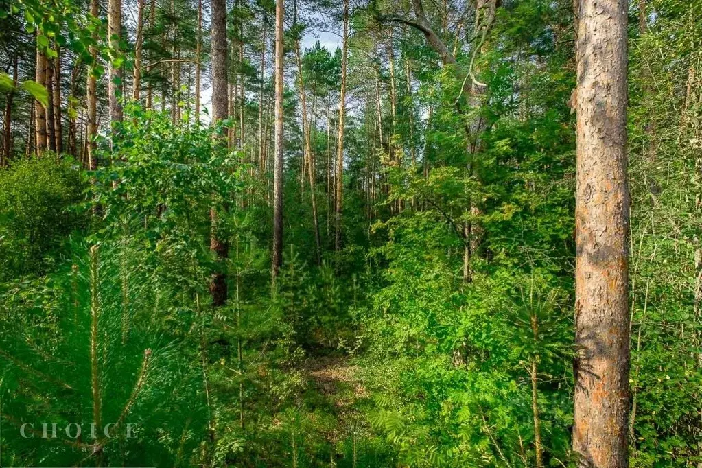 Участок в Московская область, Одинцовский городской округ, пос. ... - Фото 1