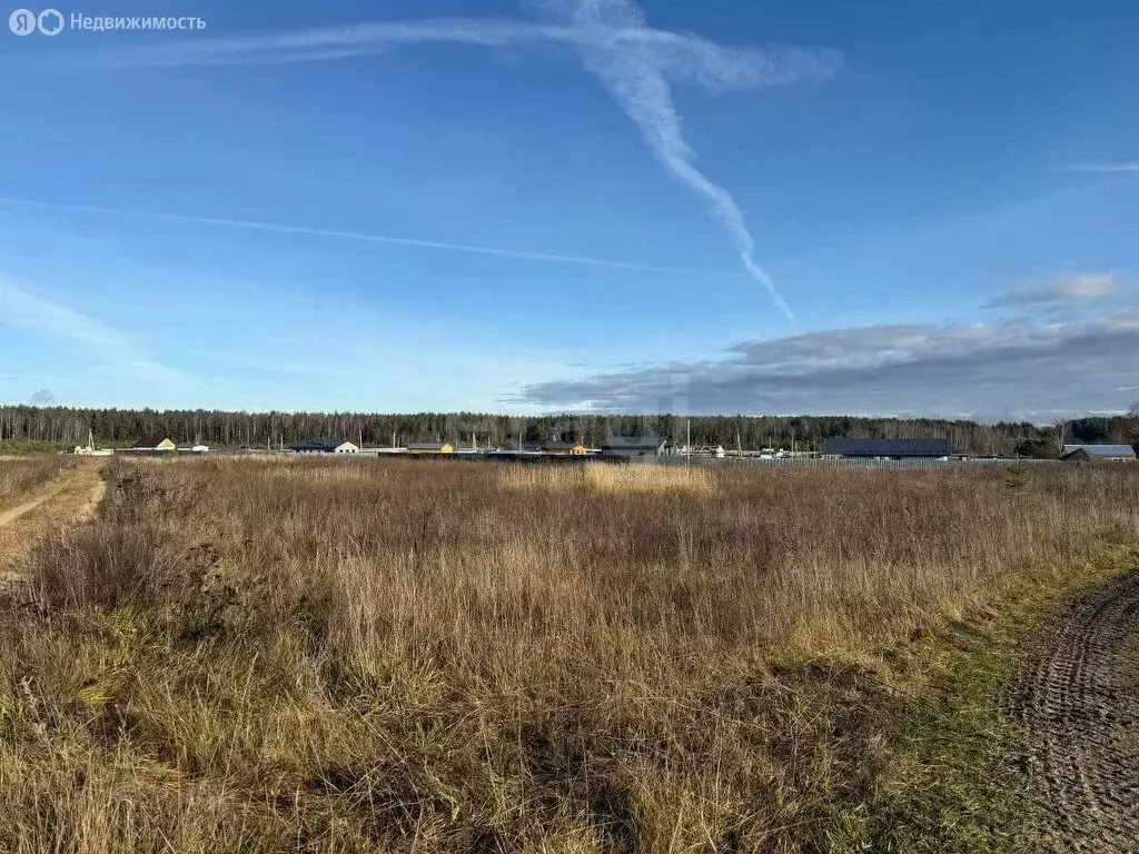 Участок в муниципальное образование Новосельское, деревня Черноситово ... - Фото 1