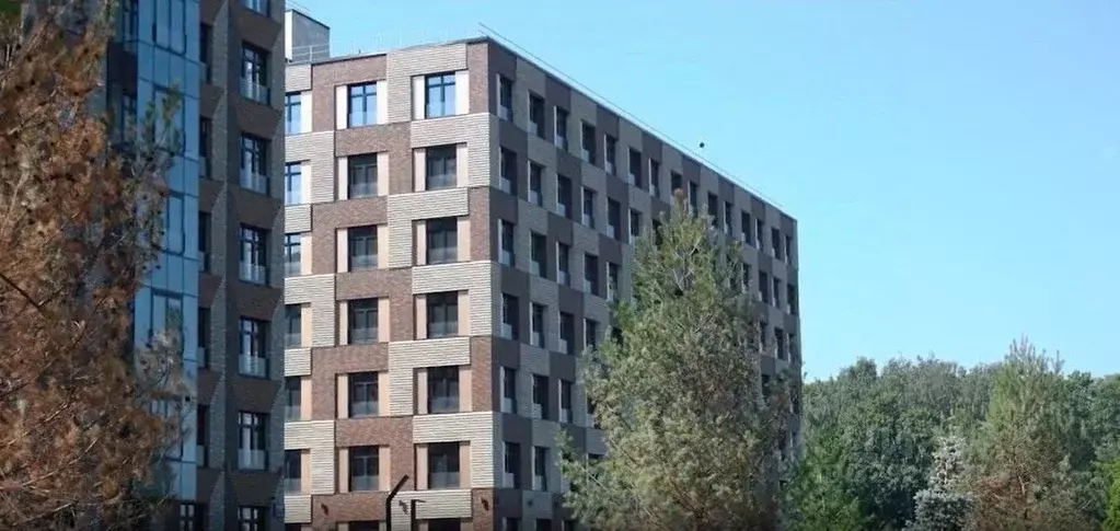 Помещение свободного назначения в Санкт-Петербург Петровский просп., ... - Фото 2