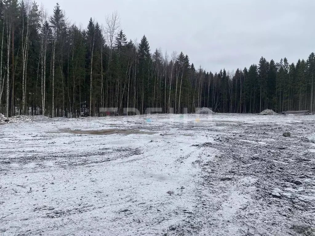 Участок в Ленинградская область, Сертолово Всеволожский район, Медное ... - Фото 0