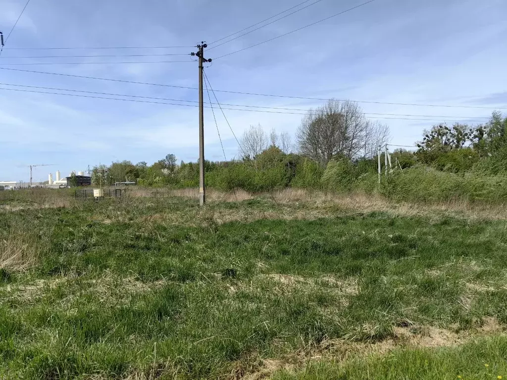 Участок в Калининградская область, Гурьевск Калининградское ш. (131.0 ... - Фото 1