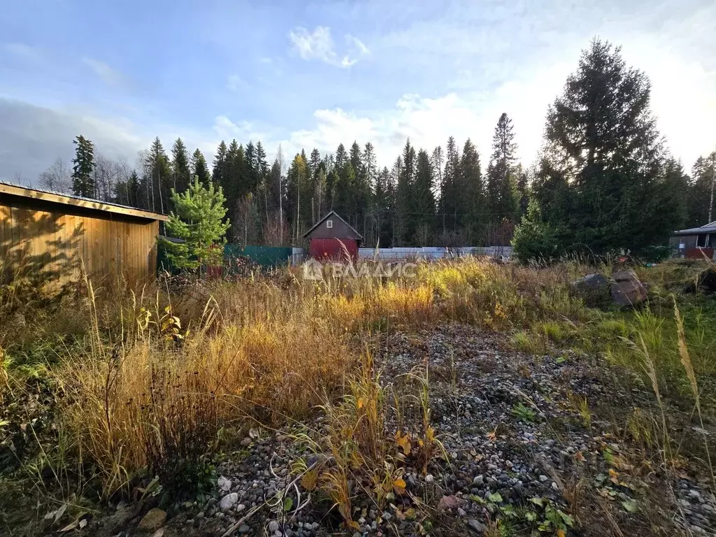Участок в Карелия, Прионежский район, Нововилговское с/пос, ... - Фото 2