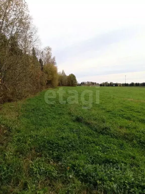 Участок в Вологодская область, д. Дудинское  (7.0 сот.) - Фото 1