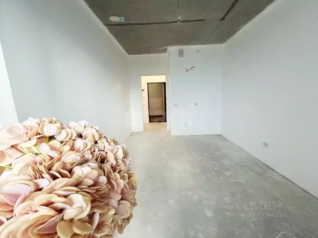 Студия Ленинградская область, Мурино Всеволожский район, бул. ... - Фото 1