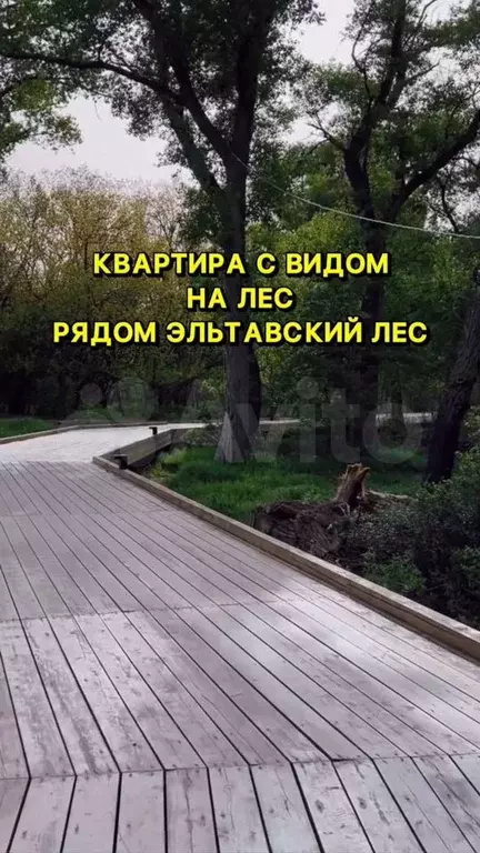 2-к. квартира, 66 м, 2/8 эт. - Фото 0