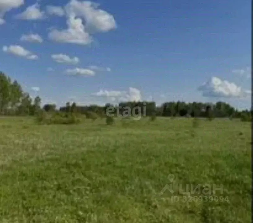 Участок в Липецкая область, Липецкий муниципальный округ, с. Подгорное ... - Фото 1