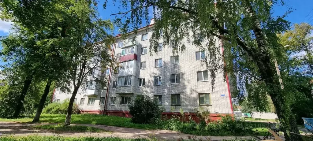 3-к кв. Брянская область, Дятьково ул. Д. Ульянова, 2 (59.5 м) - Фото 2