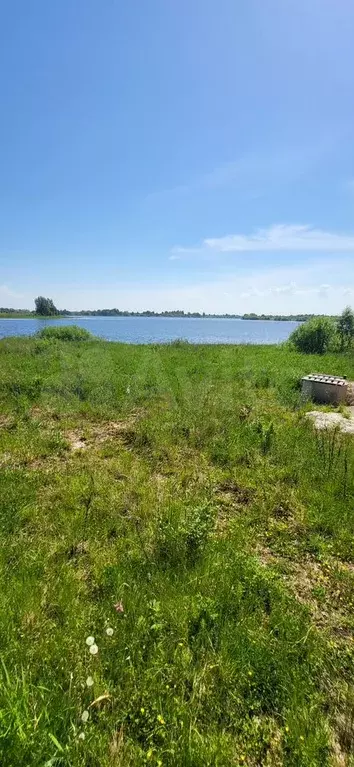 Дом 60 м на участке 15 сот. - Фото 0