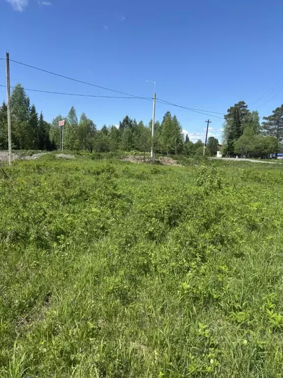 Участок в Алтай, Турочакский район, с. Дмитриевка  (14.0 сот.) - Фото 0
