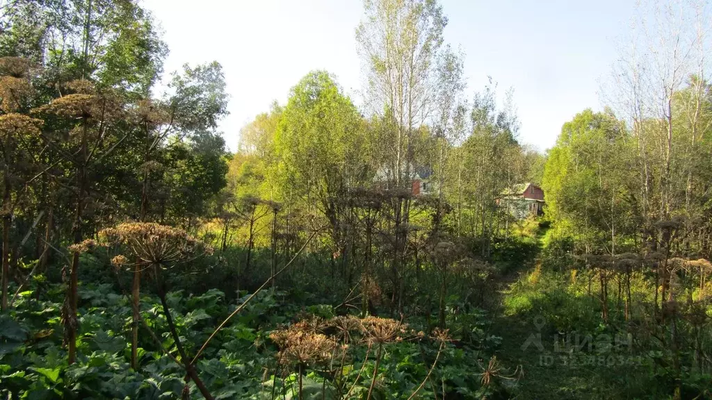 Участок в Московская область, Рузский муниципальный округ, д. Верхнее ... - Фото 1