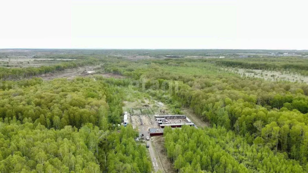 Участок в Хабаровский край, Хабаровский район, Мичуринское с/пос, ... - Фото 0