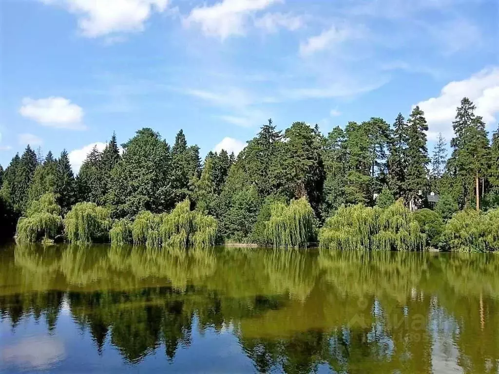 Участок в Московская область, Одинцовский городской округ, д. Бородки, ... - Фото 0