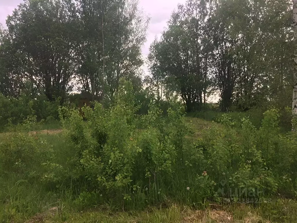 Участок в Московская область, Сергиево-Посадский городской округ, ... - Фото 2