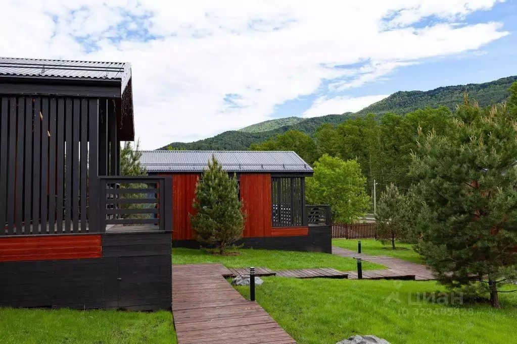 Дом в Алтай, Майминский район, Манжерокское с/пос, с. Озерное ул. ... - Фото 1