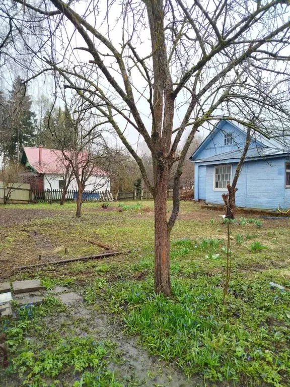 Участок в Московская область, Химки Сходня мкр, ул. Ленина, 12 (8.0 ... - Фото 1