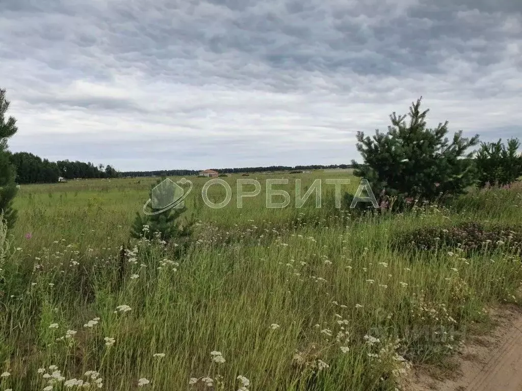 Участок в Тюменская область, Тюменский район, д. Малиновка  (4.93 ... - Фото 1