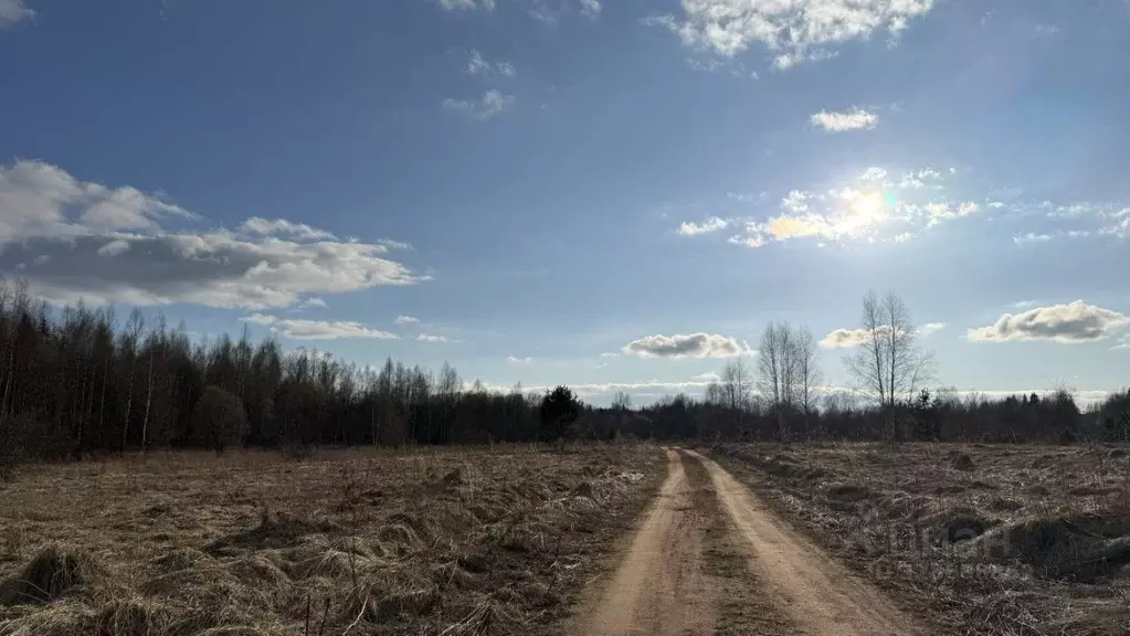 Дом в Новгородская область, Маловишерский район, Веребьинское с/пос, ... - Фото 1
