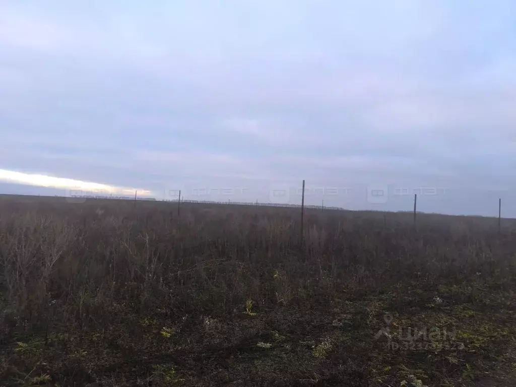 Участок в Татарстан, Алексеевский район, Лебяжинское с/пос, с. Лебяжье ... - Фото 1