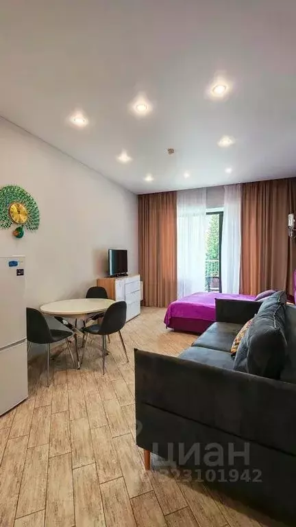 1-к кв. Краснодарский край, Сочи Курортный просп., 105 (45.0 м) - Фото 1