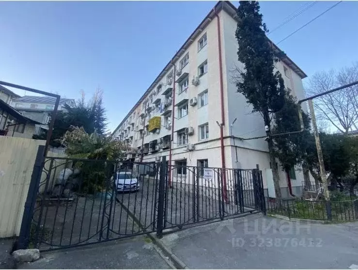 Студия Краснодарский край, Сочи Донская ул., 17 (18.4 м) - Фото 1