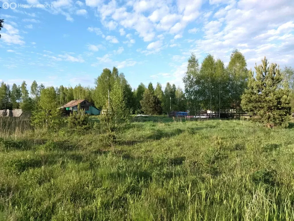 Участок в муниципальное образование Новосельское, село Марьино (25 м) - Фото 1