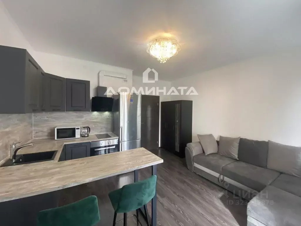 Студия Санкт-Петербург аллея Арцеуловская, 19 (25.0 м) - Фото 0