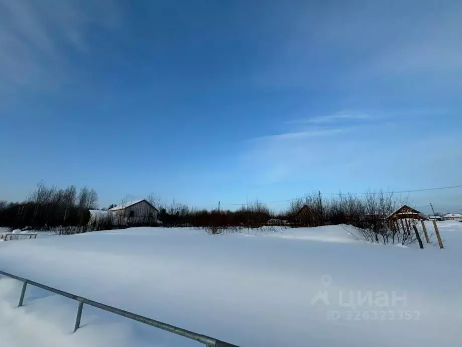 Участок в Пермский край, Усолье Усольский район, ул. Детства, 11 ... - Фото 1