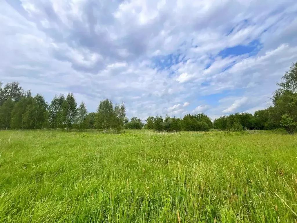 Участок в Ярославская область, Ярославский муниципальный округ, д. ... - Фото 1