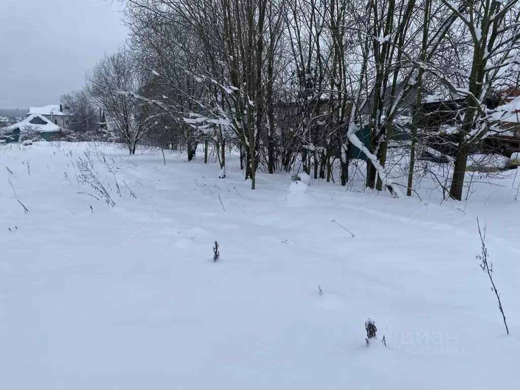 Участок в Московская область, Пушкинский городской округ, с. Ельдигино ... - Фото 1