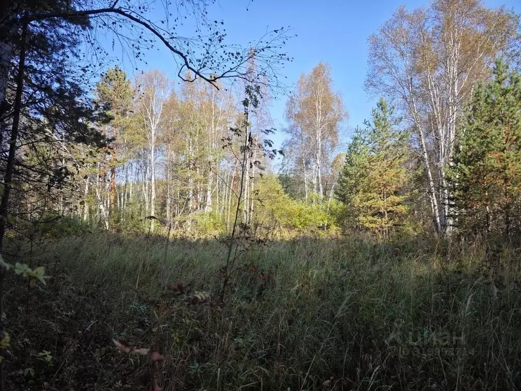 Участок в Свердловская область, Полевской муниципальный округ, с. ... - Фото 0