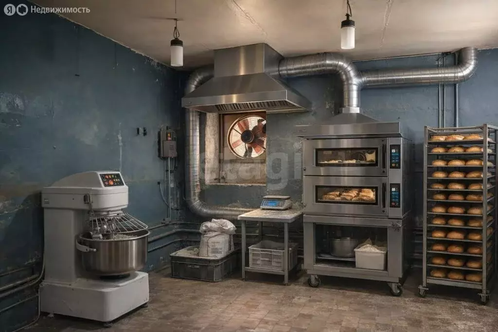 Офис (50.9 м) - Фото 2