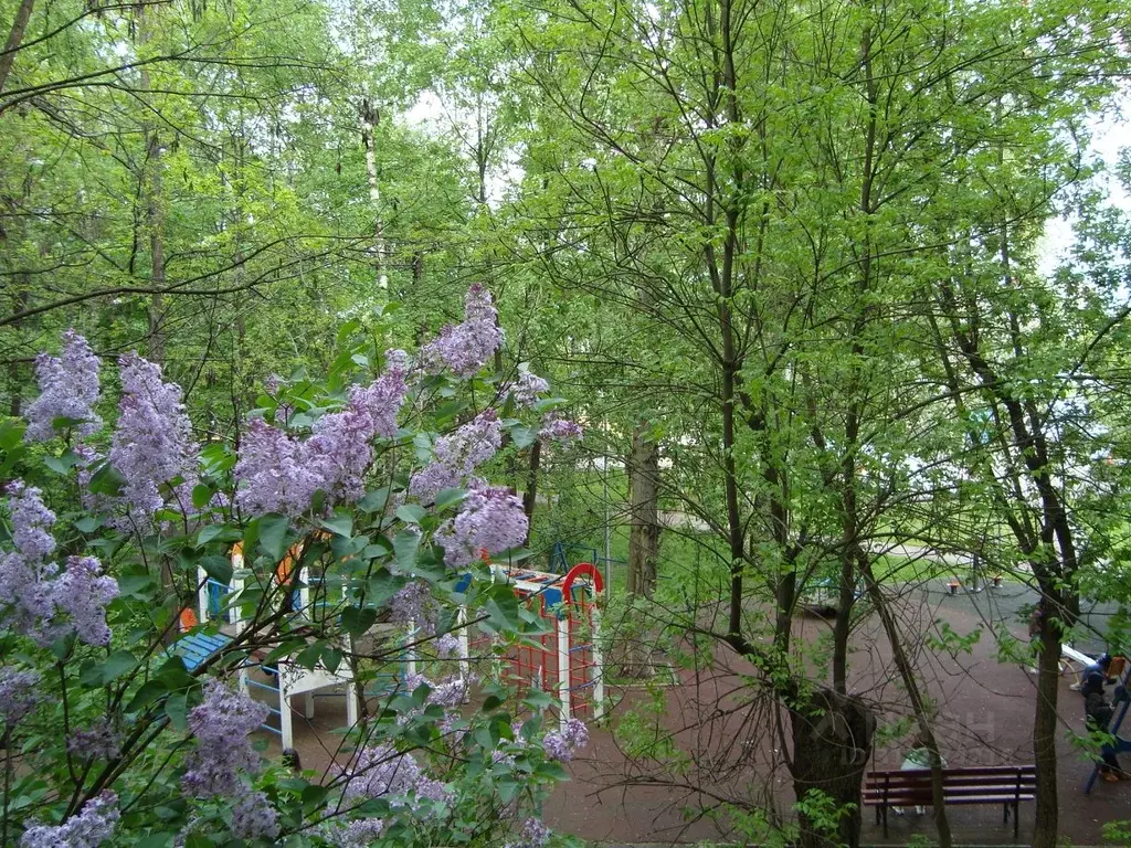 1-к кв. Москва Открытое ш., 28К11 (31.0 м) - Фото 0