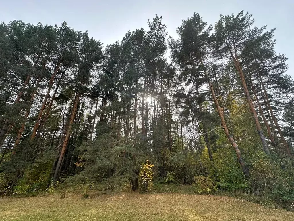 Участок в Московская область, Одинцовский городской округ, с. ... - Фото 1