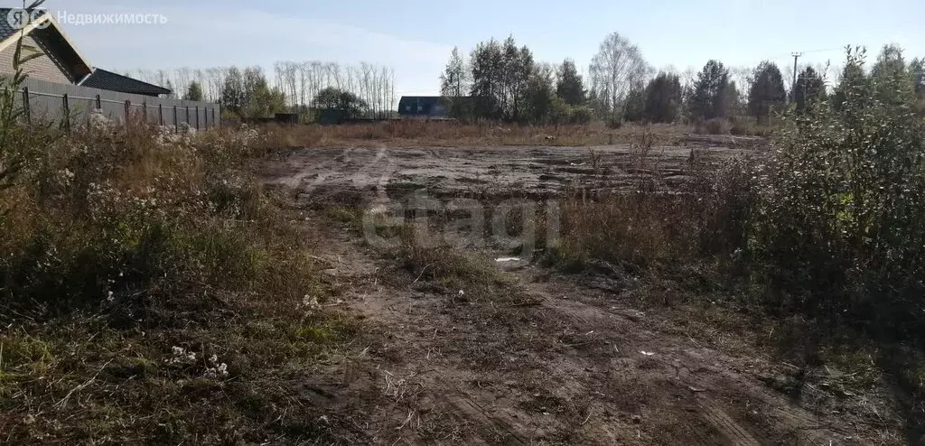 Участок в Тюменский муниципальный округ, село Луговое (1.43 м) - Фото 2