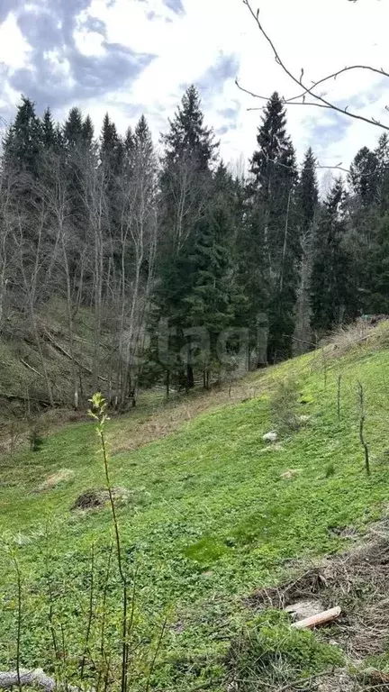 Участок в Ленинградская область, Киришский район, Будогощское ... - Фото 0