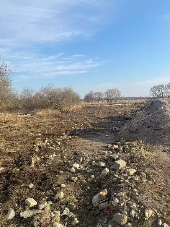 Участок в Калининградская область, Зеленоградский муниципальный округ, ... - Фото 2