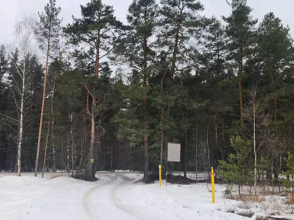 Участок в Владимирская область, Киржачский район, Горкинское ... - Фото 0