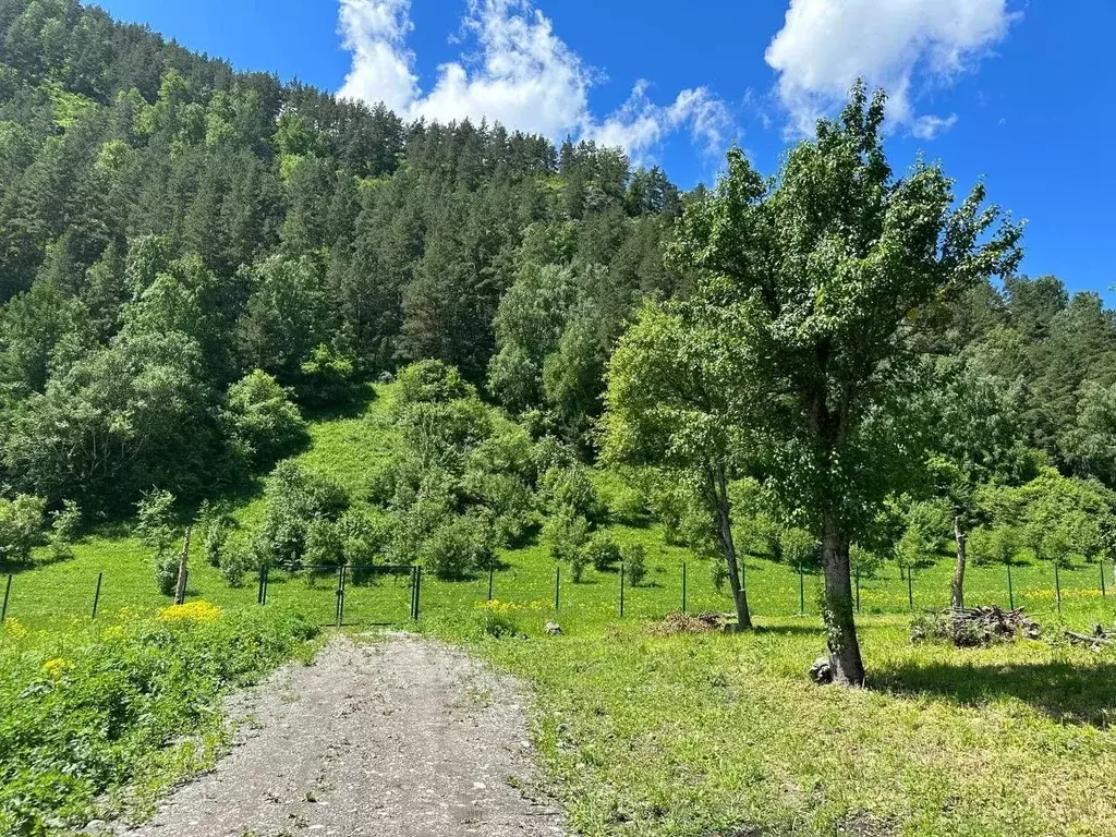 Участок в Алтай, Чемальский район, Радуга Жизни СНТ  (10.0 сот.) - Фото 1