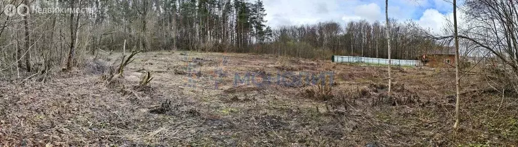 Участок в Нижегородская область, Богородский муниципальный округ, ... - Фото 2