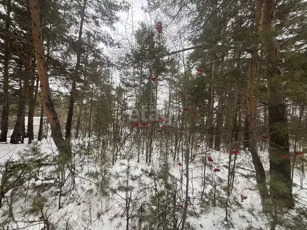 Участок в Свердловская область, Сысертский муниципальный округ, пос. ... - Фото 1