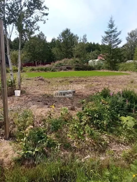 Участок в Сахалинская область, Южно-Сахалинск городской округ, с. ... - Фото 1