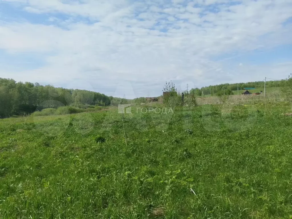 Участок 7 га (СНТ, ДНП) - Фото 1