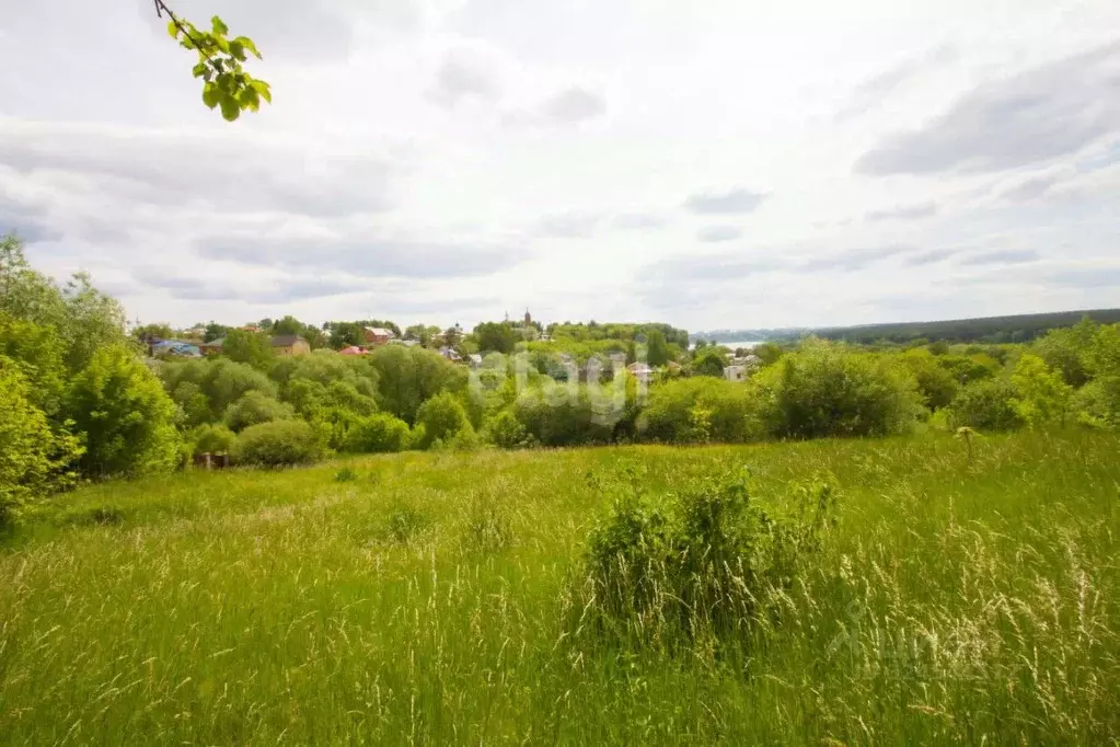 Участок в Калужская область, Калуга д. Железняки, Парковая ул. (7.5 ... - Фото 1