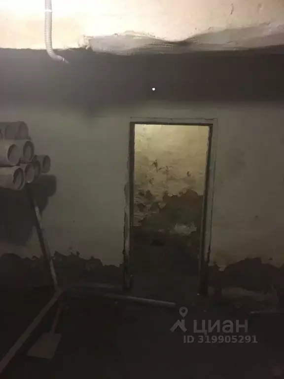 Помещение свободного назначения в Челябинская область, Челябинск ул. ... - Фото 1