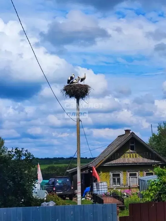 участок в новгородская область, батецкий муниципальный округ, д. . - Фото 0